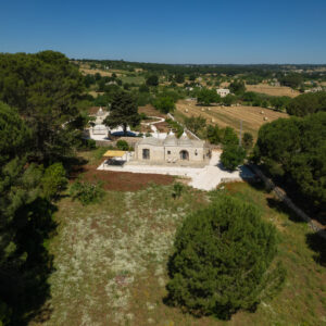DJI_0531